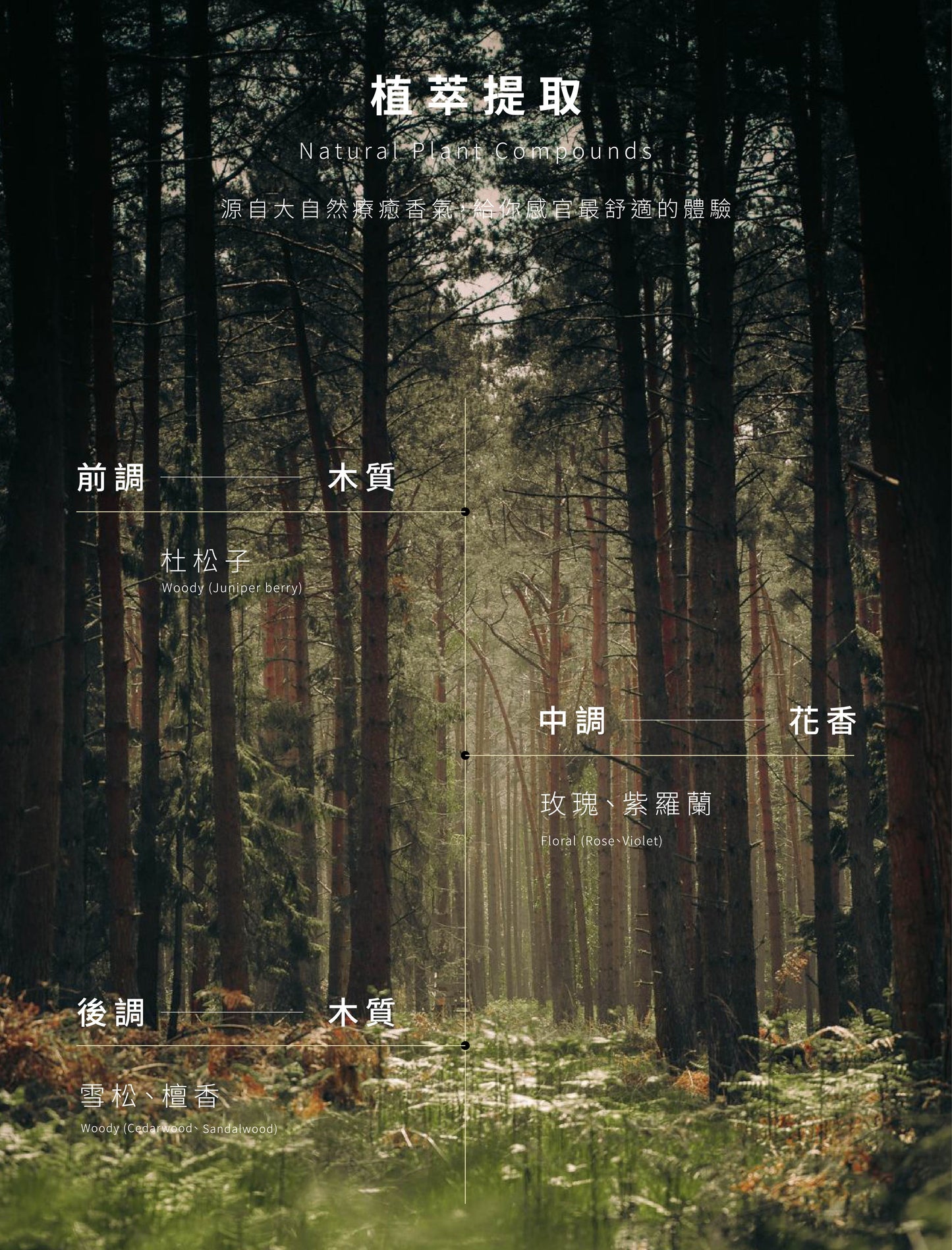 NiniKiki | Earth Series Diffuser: Cedar Forest