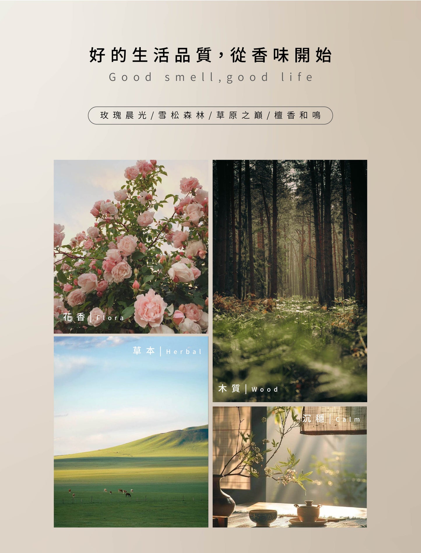 NiniKiki | Earth Series Diffuser: Cedar Forest