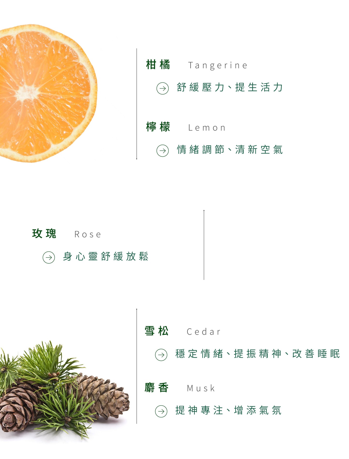 NiniKiki | Earth Series Diffuser: Rose Morning Light