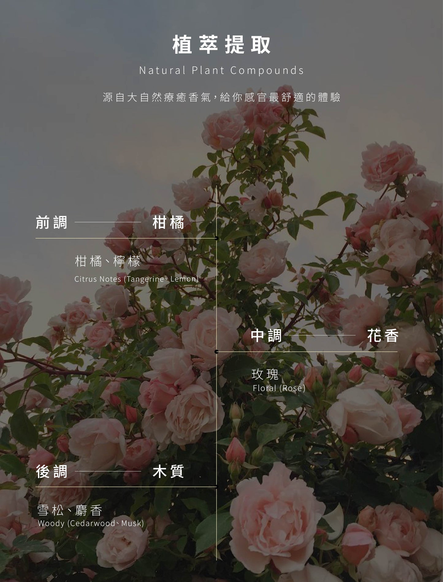 NiniKiki | Earth Series Diffuser: Rose Morning Light