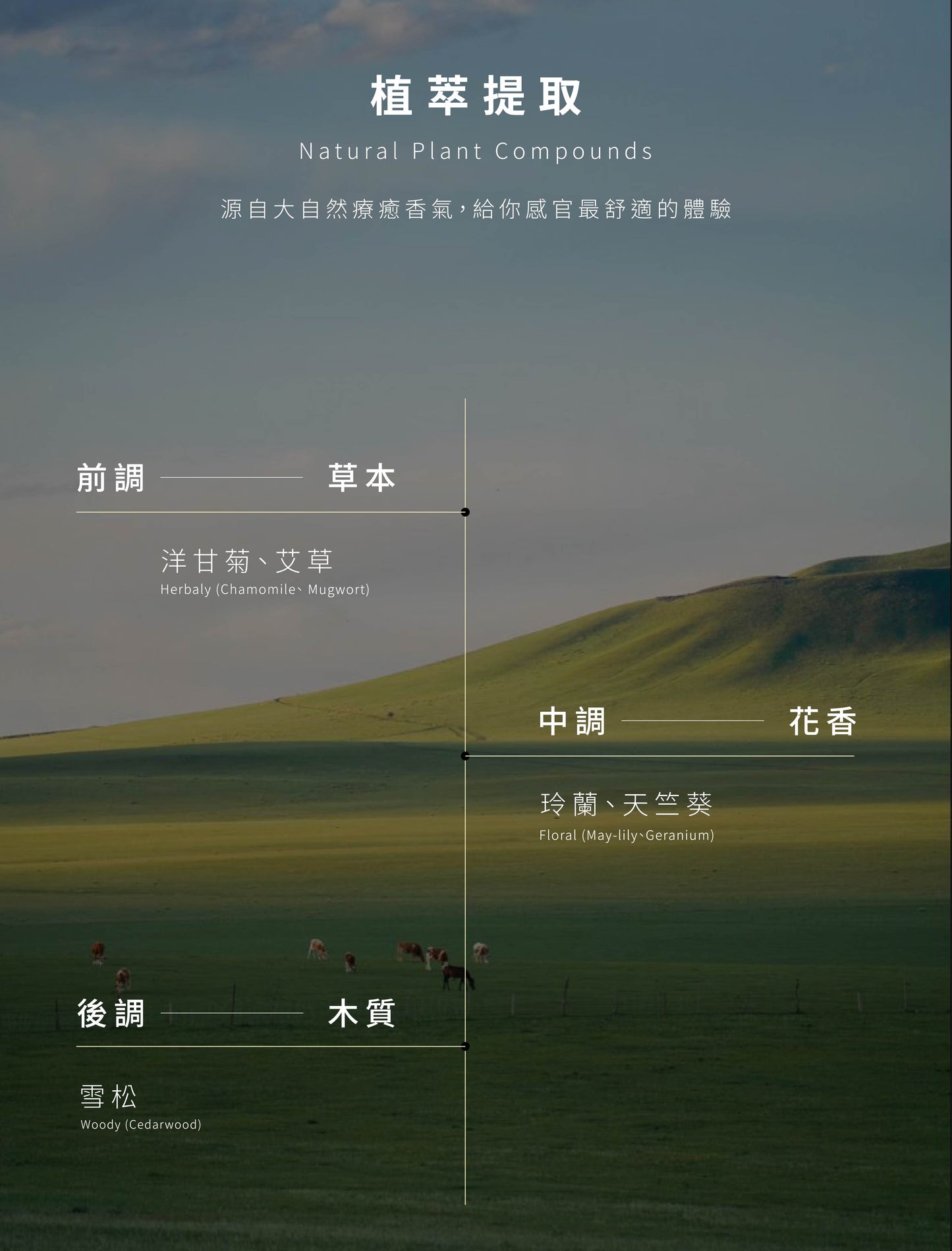 NiniKiki | Earth Series Diffuser: Summit of the Grasslands